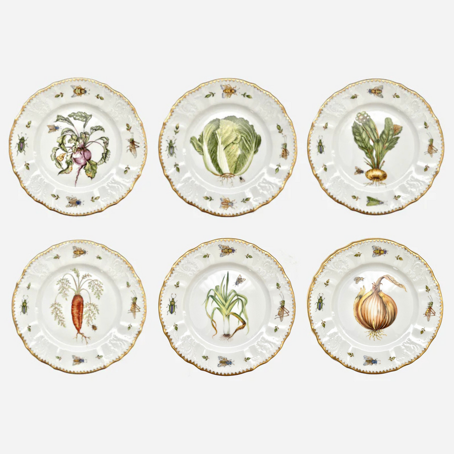 Anna Weatherley Garden Harvest Dessert Plate - Set of 6