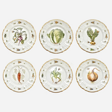 Load image into Gallery viewer, Garden Harvest Dessert Plate - Set of 6
