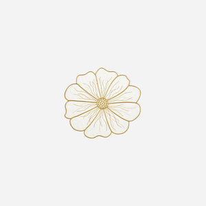 Anemone Coaster White & Gold - Set of 4