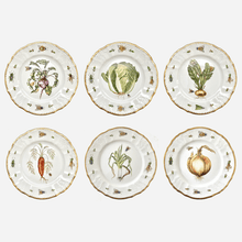 Load image into Gallery viewer, Garden Harvest Dessert Plate - Set of 6
